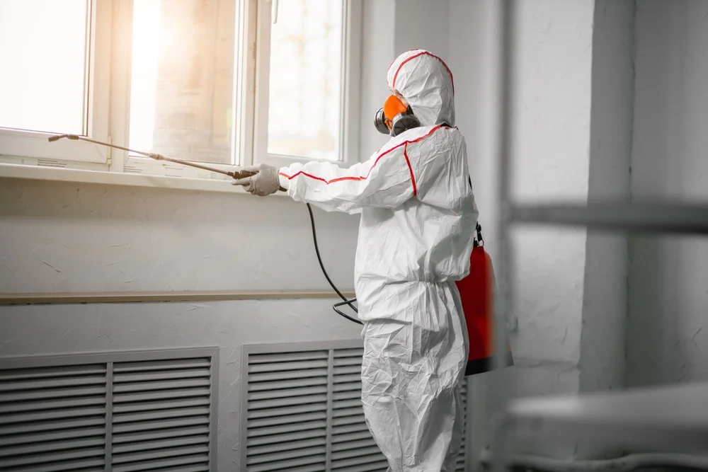 Professional mold remediation services in Clyo, GA